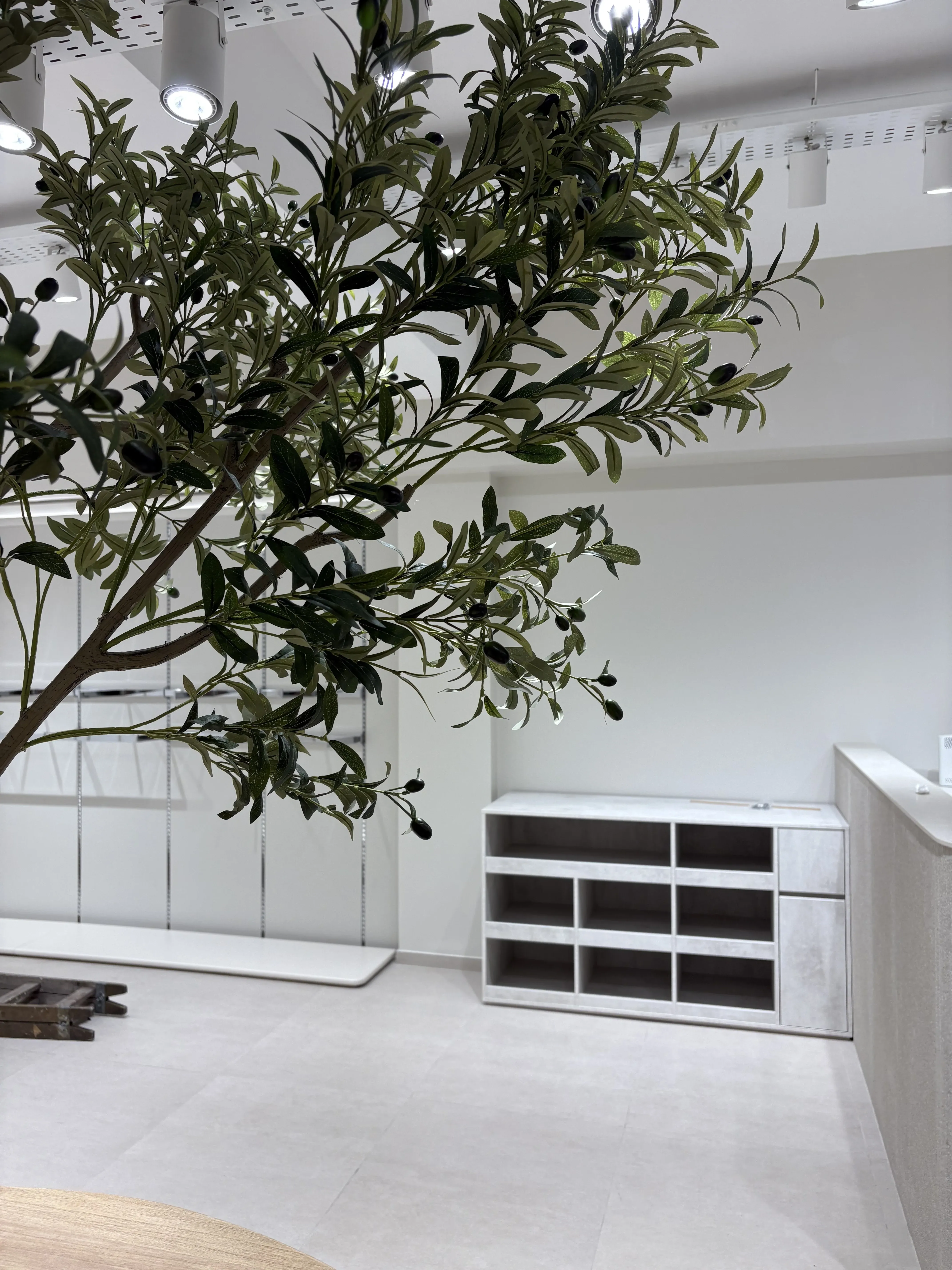 estetica 4 5