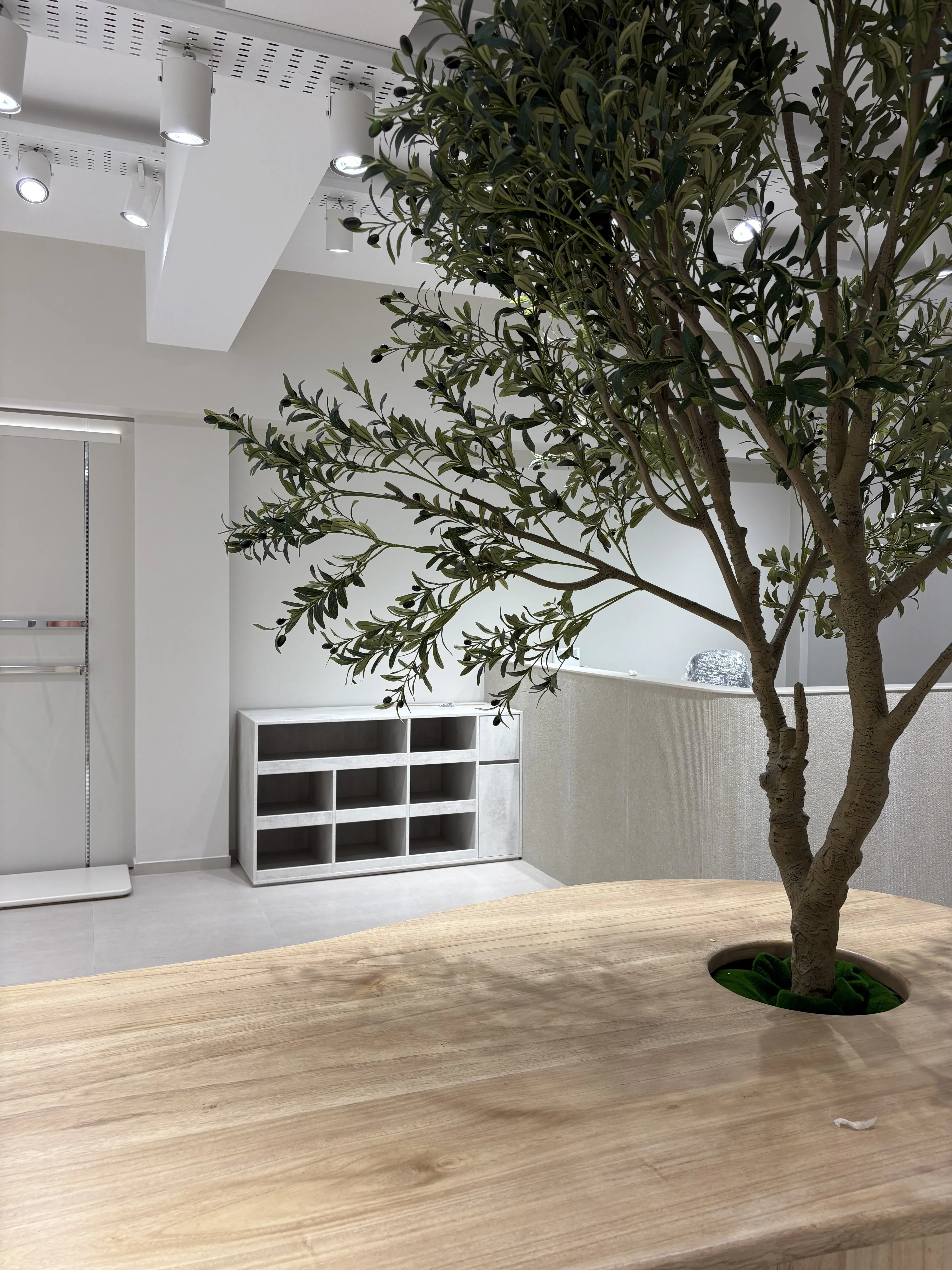 estetica 6 4