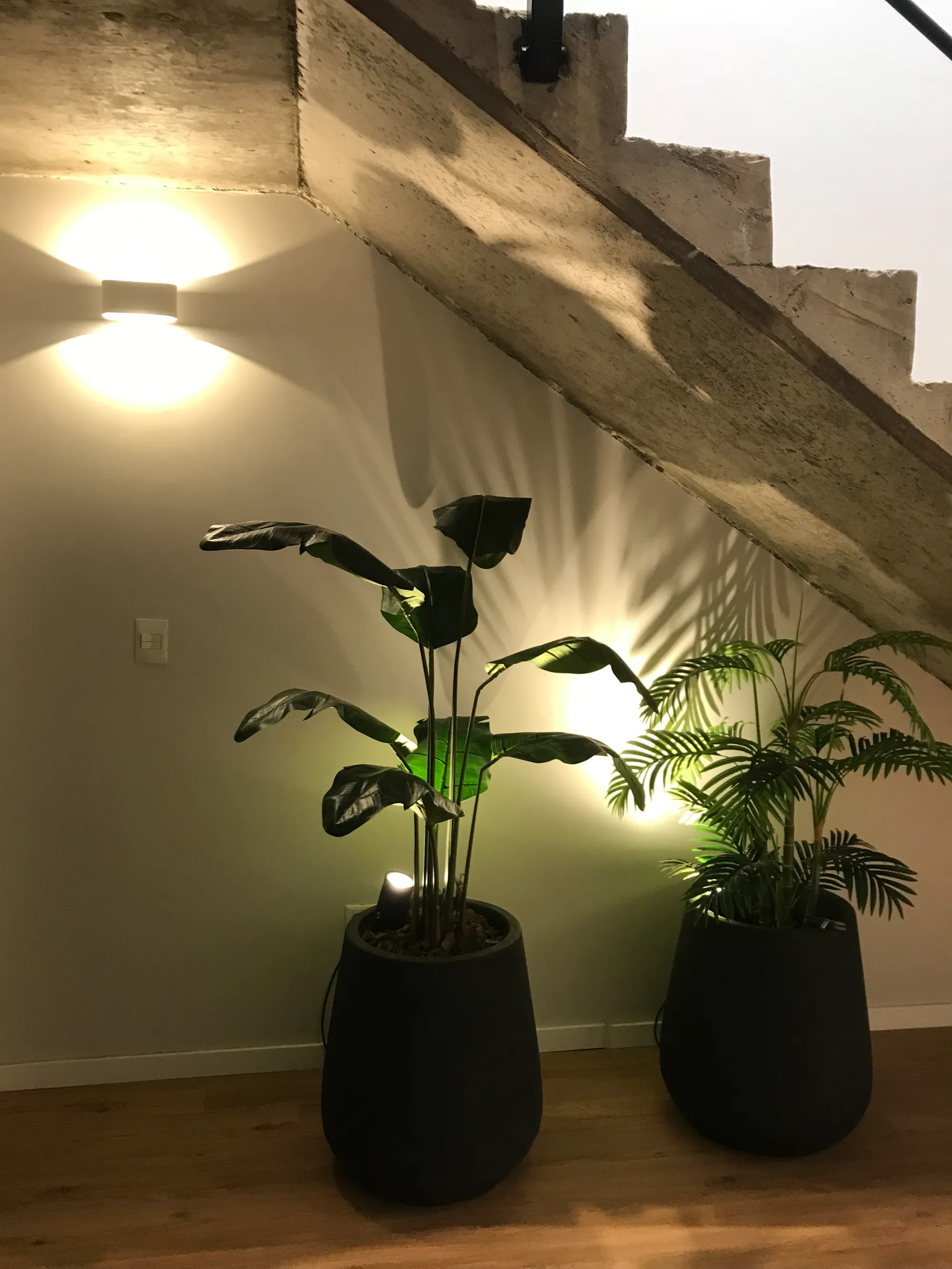 iluminacion 1