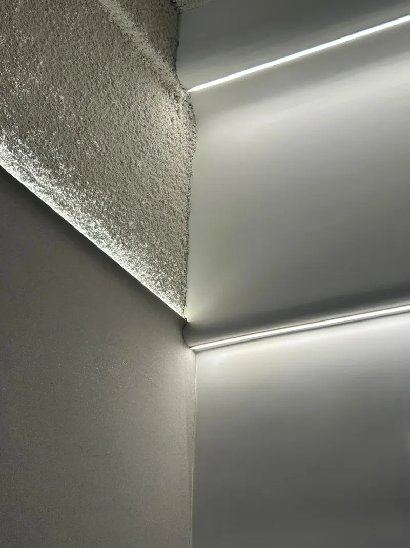 luz y forma